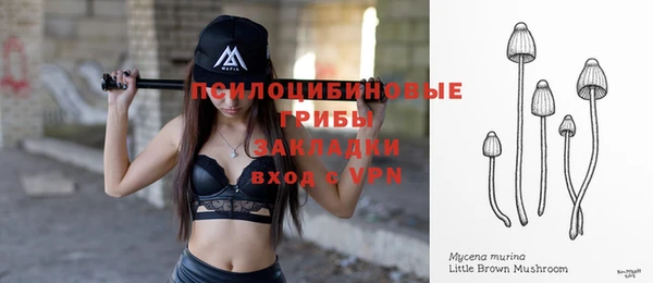 прущие крисы Балахна